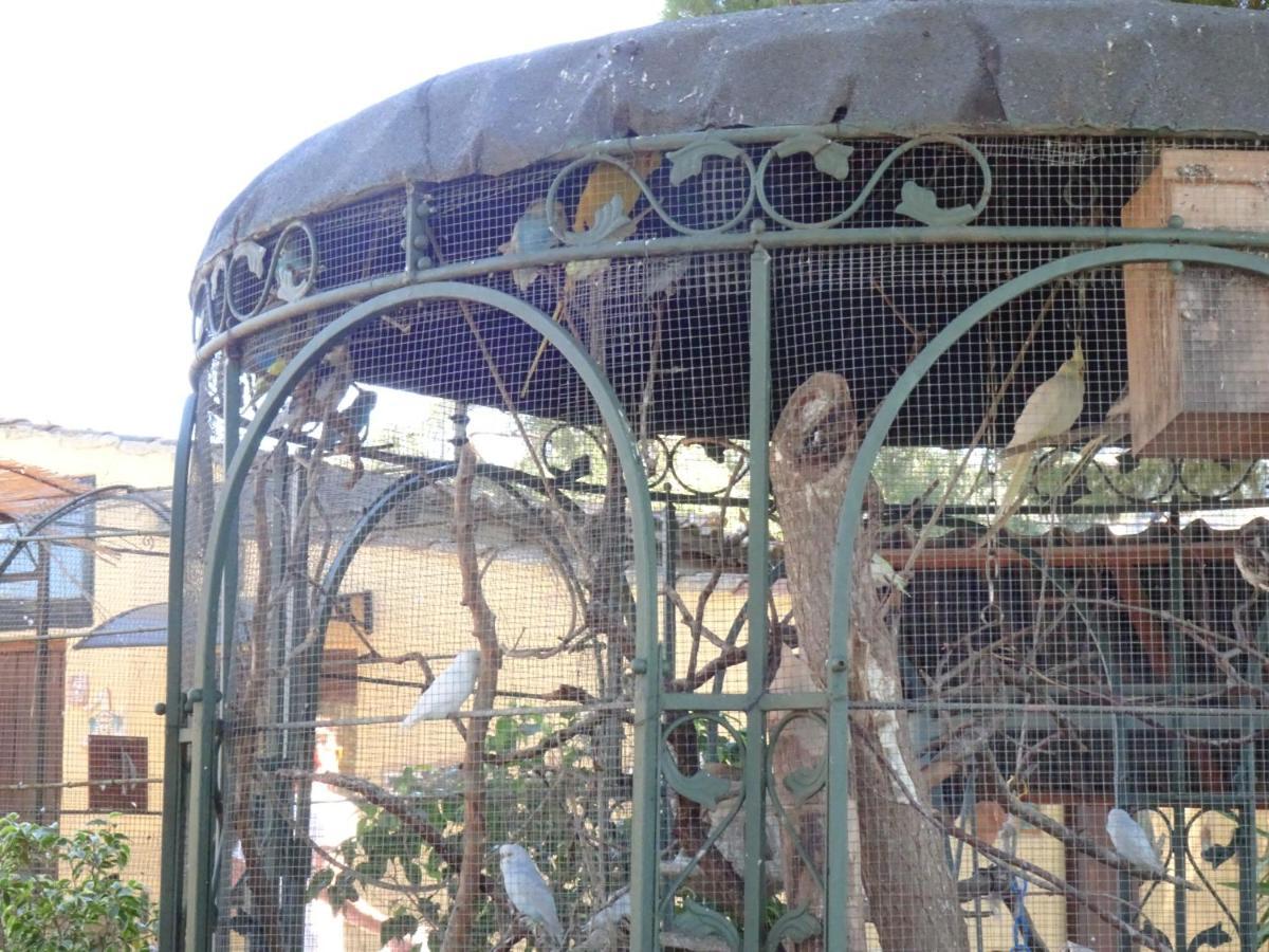 B&B Villa San Marco Agrigento Exterior photo